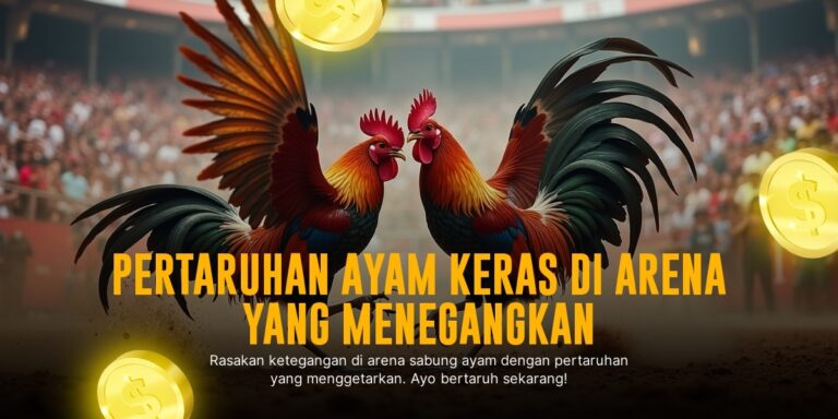 Kenali Ayam Bangkok, Raja Sabung Ayam di SV388